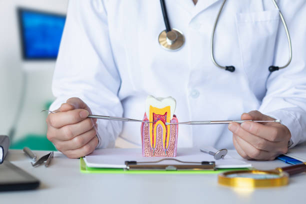 Best Emergency Broken Tooth Repair in Green Cove Springs, FL